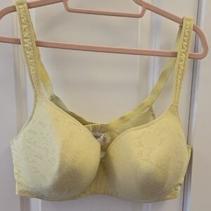 OGL Light Yellow Lace Bra